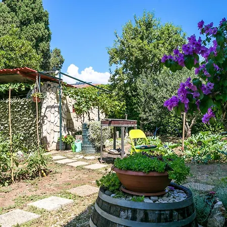 Апартаменты With Parking Space Kastel Stafilic, - 20802 *